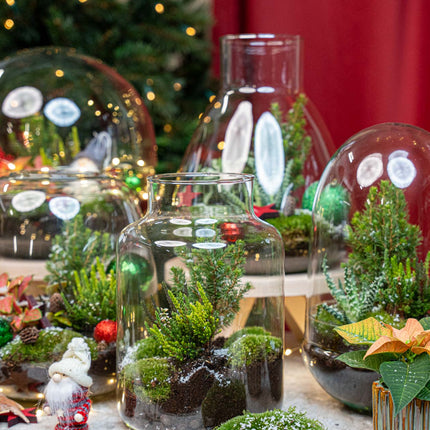Mistle - Winter terrarium - Bottle garden DIY kit - Ø 29 cm ↑ 30