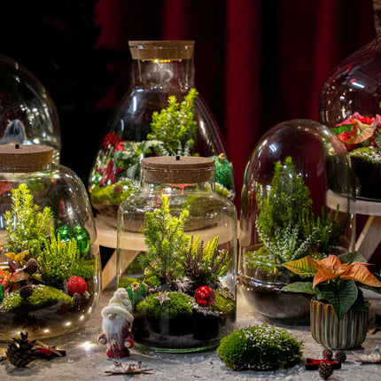 Tinsel - Winter terrarium - Bottle garden DIY kit - Ø 19 cm ↑ 20 cm