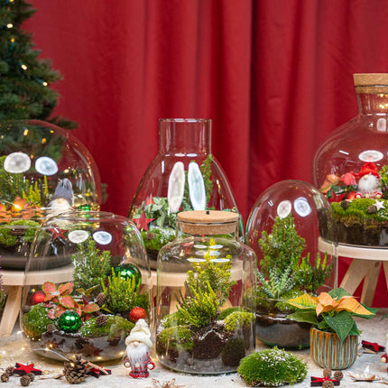 Tinsel - Winter terrarium - Bottle garden DIY kit - Ø 19 cm ↑ 20 cm