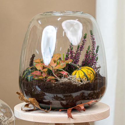Emma Autumn – Glazen fles met herfstplanten en mini pompoenen – Herfst Terrarium DIY-set – Ø 23 cm ↑ 25 cm